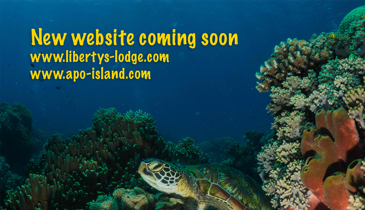 Mad Designer at work